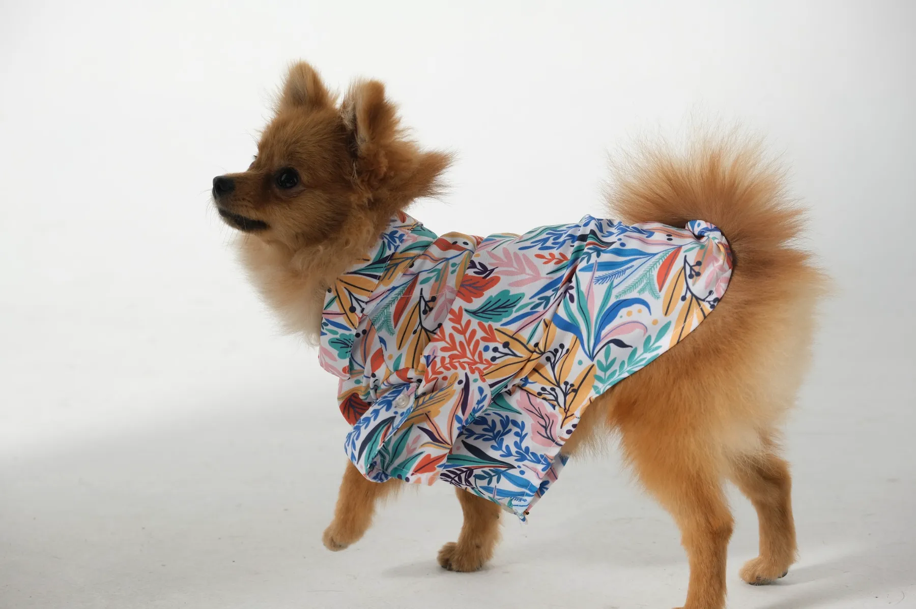 Dog Shirt Tropical White